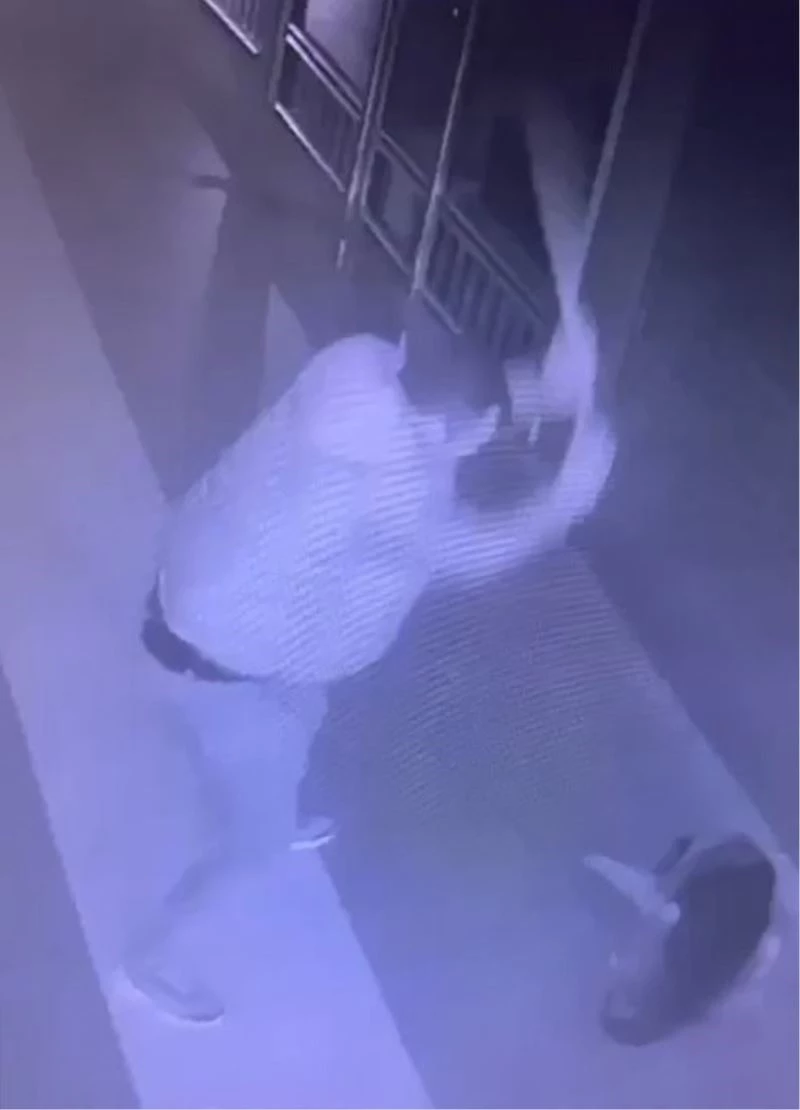 Temizlik süpürgesi ile önce sever gibi yaptı sonra da acımasızca dövdü
