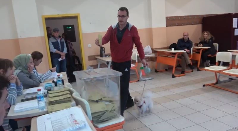 Oy kullanmaya köpeği ile geldi
