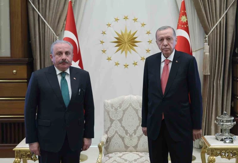 Cumhurbaşkanı Erdoğan, TBMM Başkanı Şentop’u kabul etti
