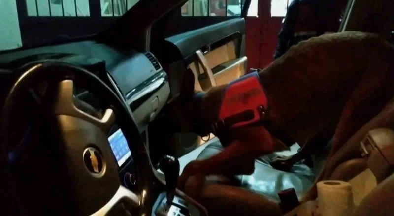 Torpidoda gizlenmiş uyuşturucuyu narkotik dedektörü 