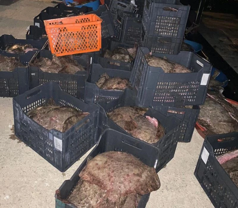 İstanbul’da yasa dışı avlanan 9 ton kalkan balığı ele geçirildi
