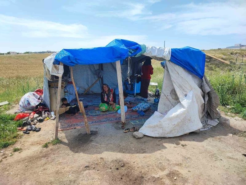 Çocuklarının bakmadığı yaşlı kadını çadırda da barındırmıyorlar
