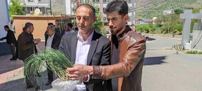 Vatandaşlar zuzubak otunun coğrafi işaretle tescillenmesini istiyor
