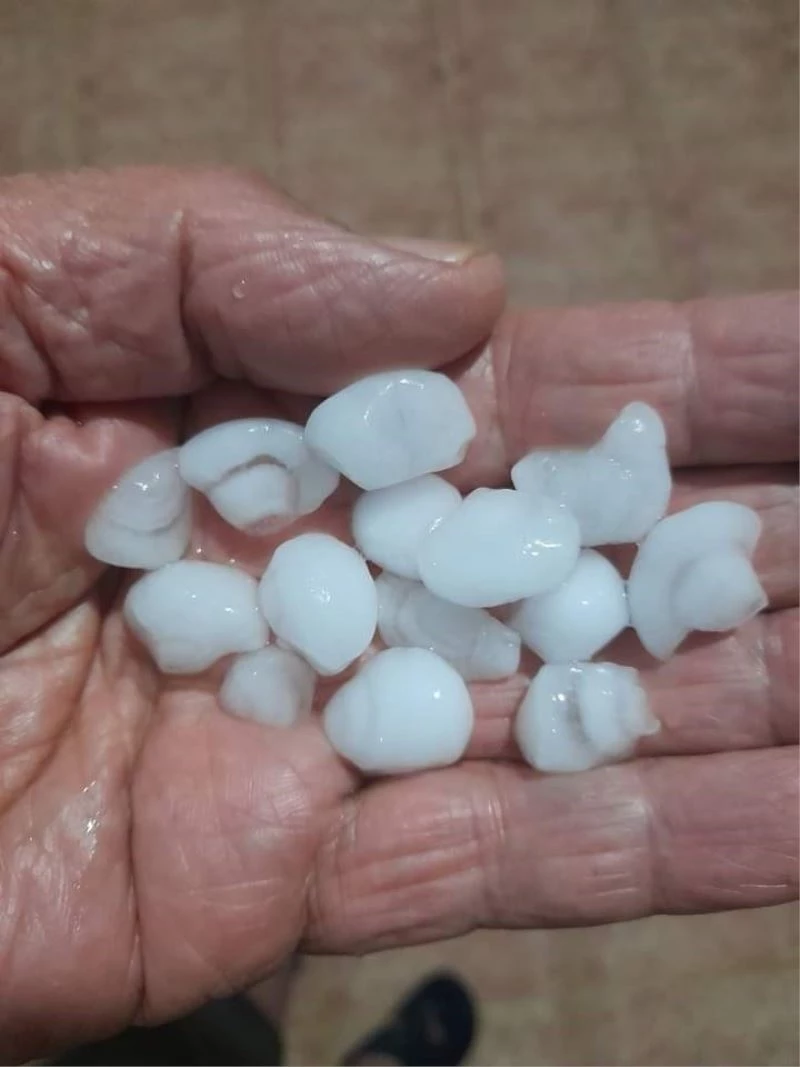 Sarıgöl’de dolu zararı
