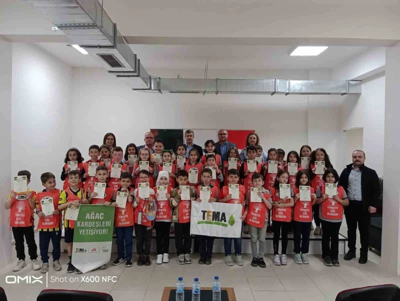 Ağaç kardeşleri yetişiyor
