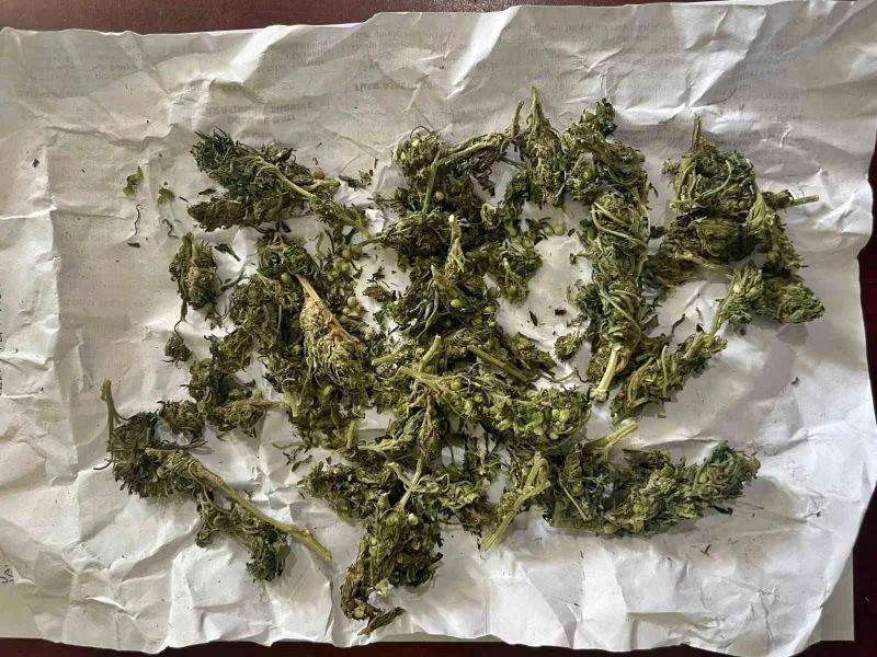 Jandarma ekipleri uyuşturucuya geçit vermedi
