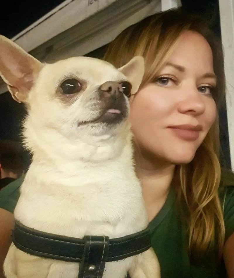 Bodrum Müzayede ’Miki’ için mezat yapacak
