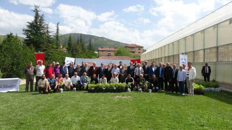 Akademik fidanlar çiftçilere dağıtıldı
