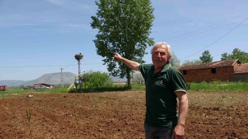 Bu köy 40 yıllık misafir leylekleriyle dikkat çekiyor
