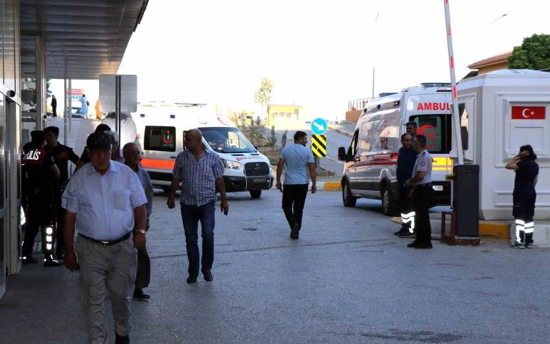 Arı sokmasına bağlı ciddi alerjik reaksiyonlar ölüme sebep olabilir
