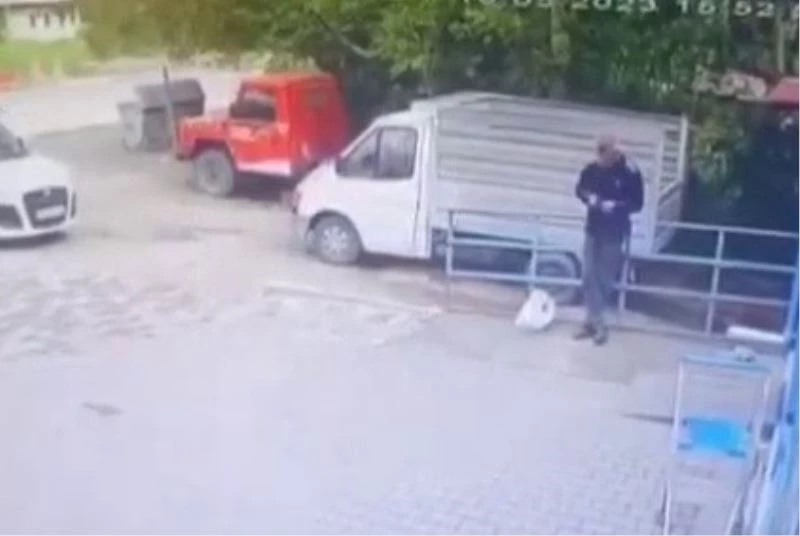 Köpeğin tavuk hırsızlığı kamerada
