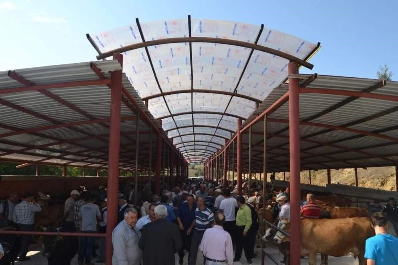 Asarcık Hayvan Pazarı açıldı
