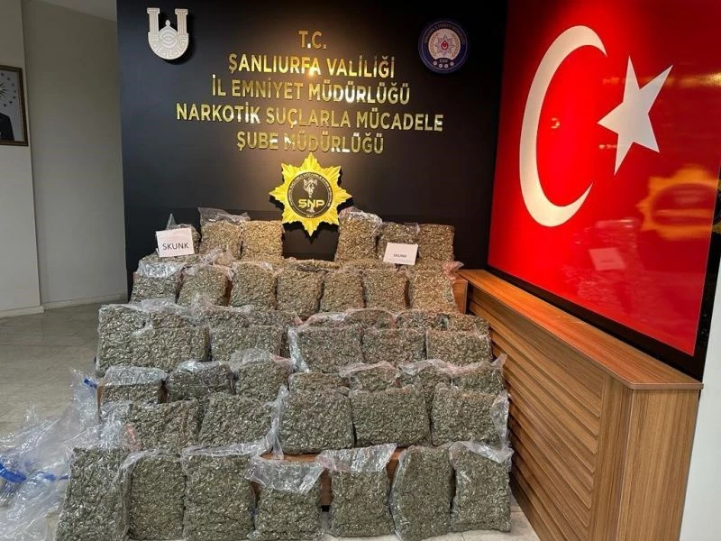 Şanlıurfa’da 50 kilogram skunk ele geçirildi
