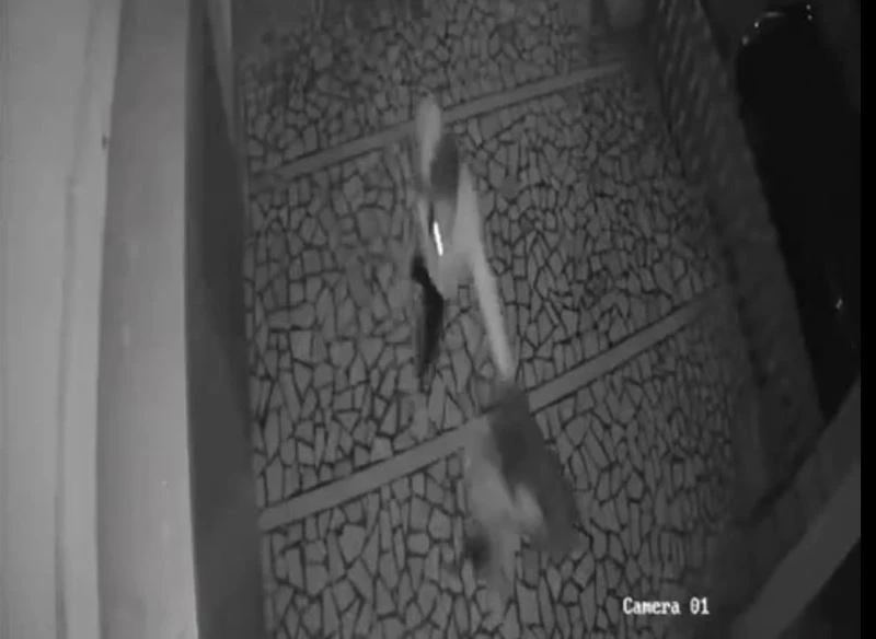 Tartıştığı genç kızı önce tokatladı, sonra saçından tutarak ittirdi
