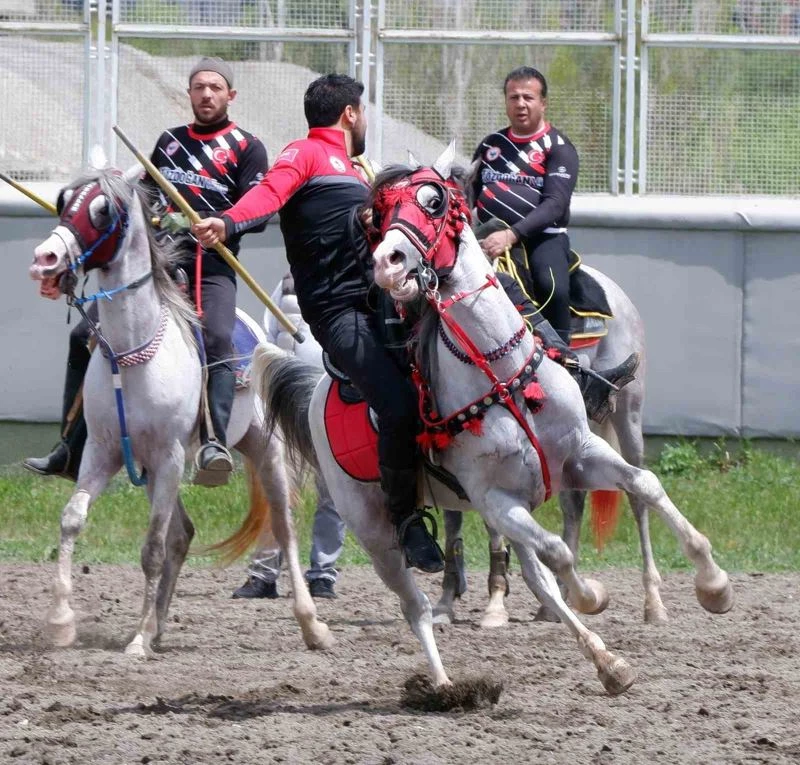 Erzurum’da cirit heyecanı

