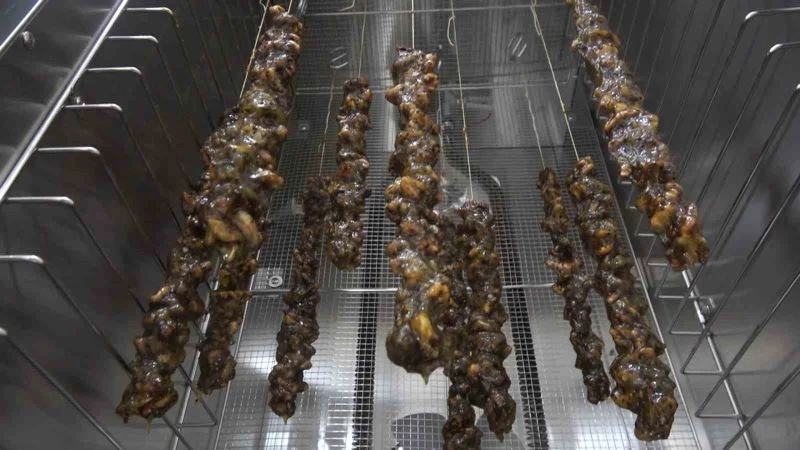 Girişimci kadınlar Türkiye’de ilk kez ürettikleri kivi sucuğunun patentini aldı
