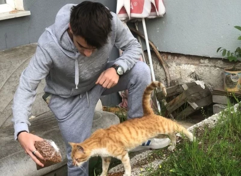 Gediz SHMYO’da sokak hayvanlarına 