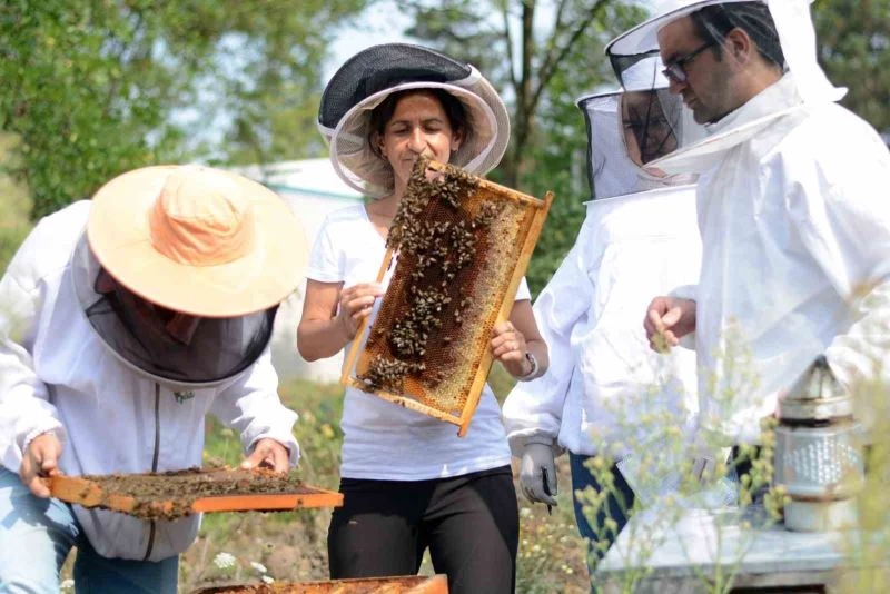 Epilepsi ataklarını önlemede etkili
