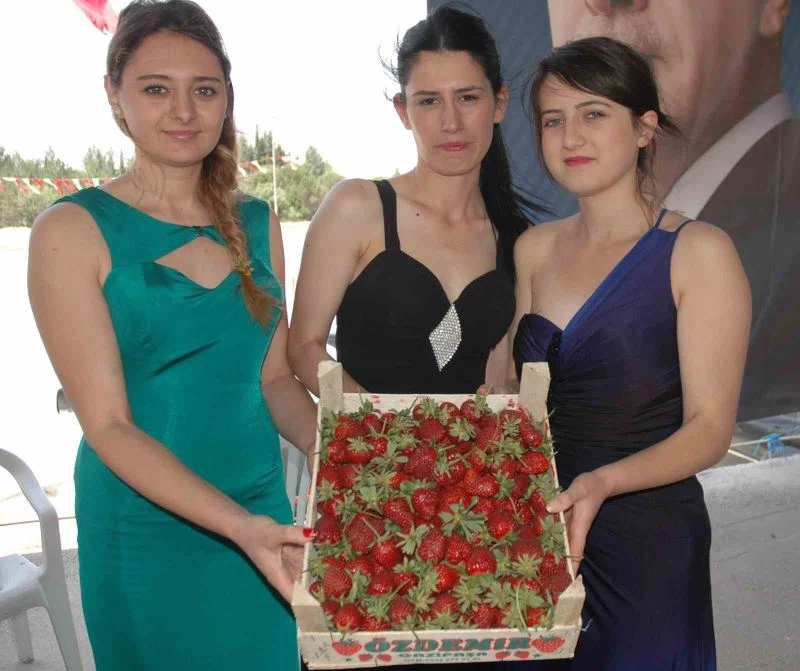 Sivaslı’da 35. Çilek ve Kültür Festivali için geri sayım başladı
