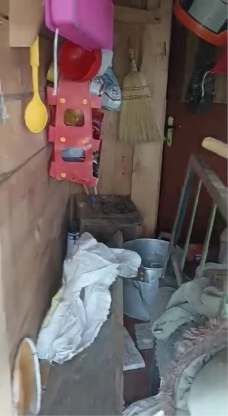 Ayılar yayla evlerini talan etti, vatandaş eve 