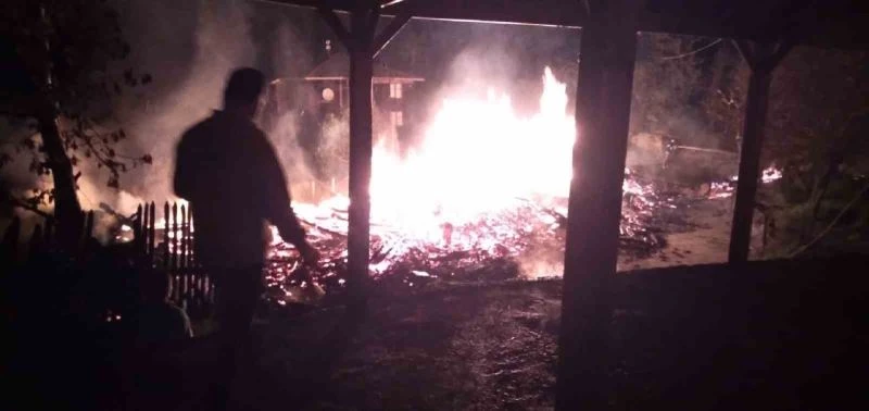 Köyde çıkan yangında 3 ev küle döndü
