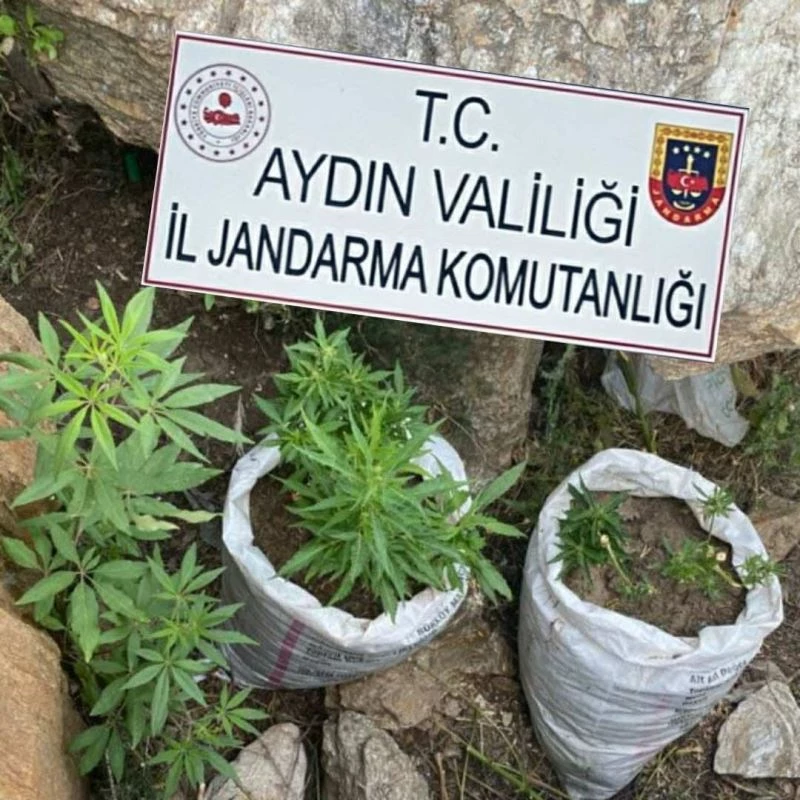 Jandarmadan uyuşturucu baskını: 4 gözaltı
