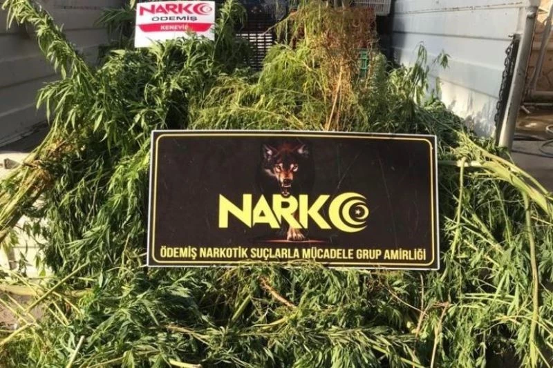 Tarım serasına uyuşturucu operasyonu: 3 gözaltı
