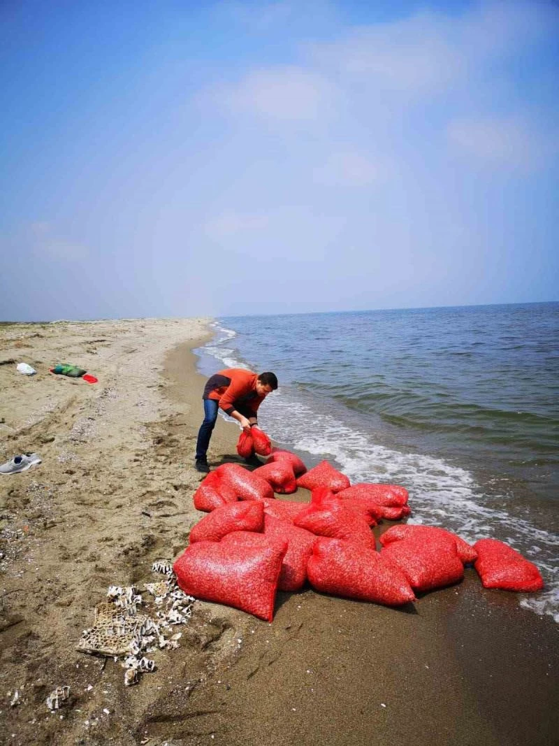 Yasak dönemde midye avcılığı denetimi devam ediyor
