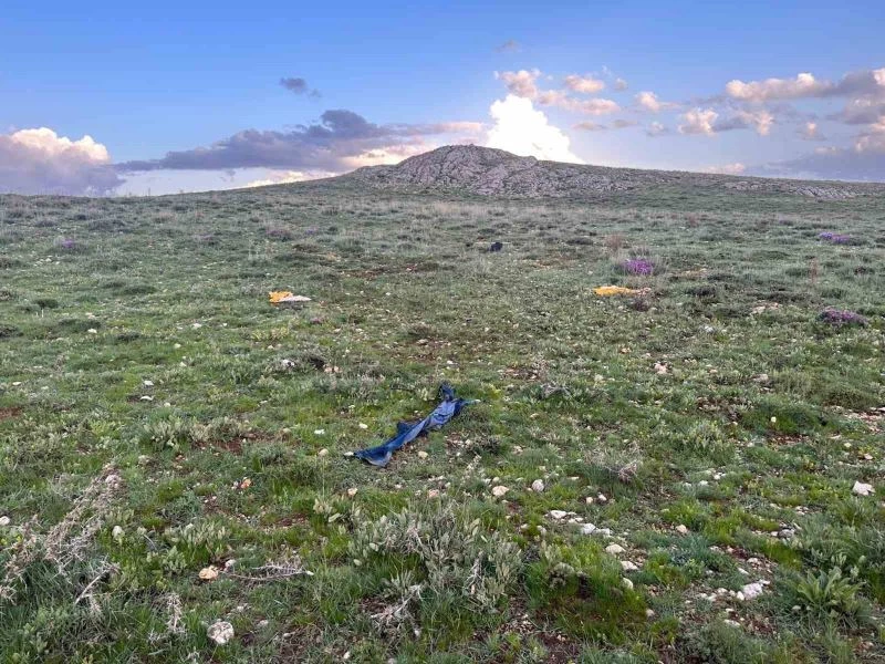 Hayvanlar yalnız dönünce, çoban arazide ölü bulundu
