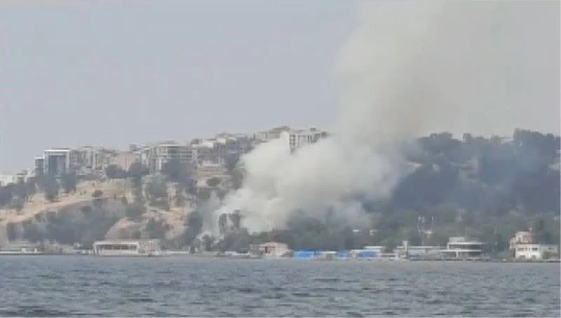 İzmir’de otluk alanda yangın
