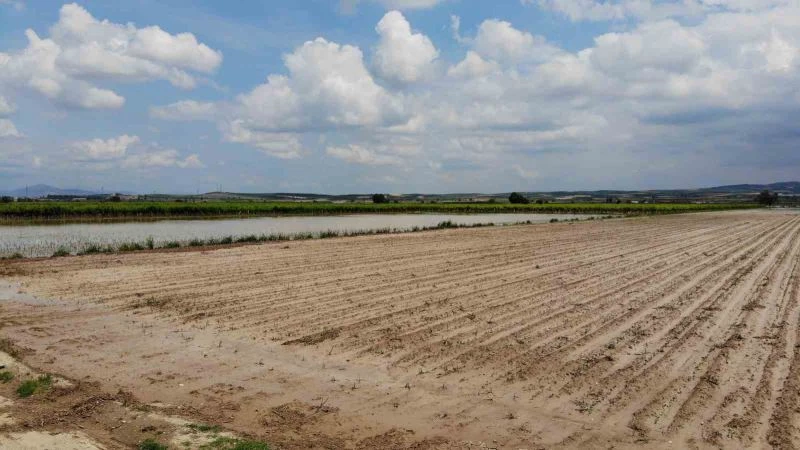 Manisa’da sel felaketi tarım arazilerini vurdu
