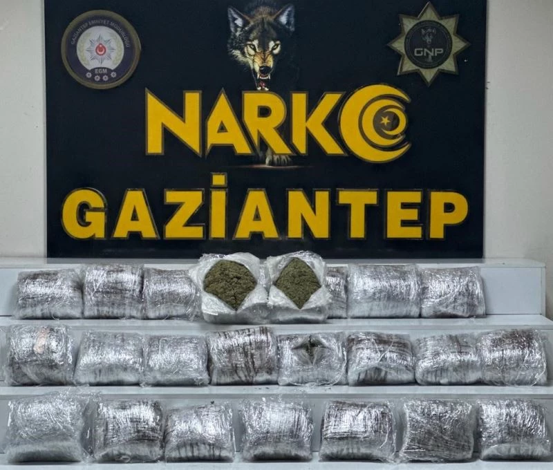 Gaziantep’te 24 kilo skunk ele geçirildi
