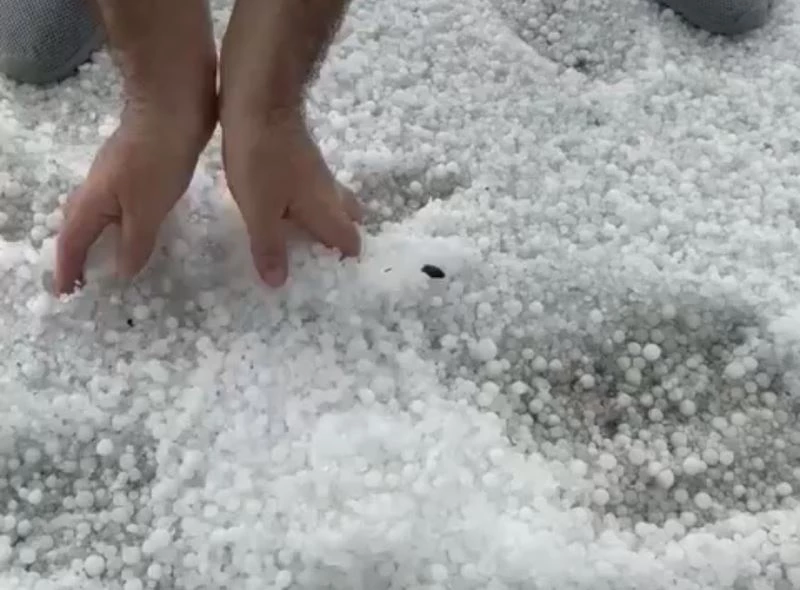 Mayıs ayında avuç avuç dolu yağdı
