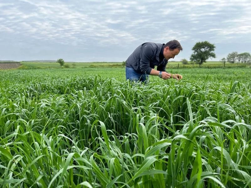 Ekili alanlarda zararlı haşerelere karşı mücadele başlatıldı
