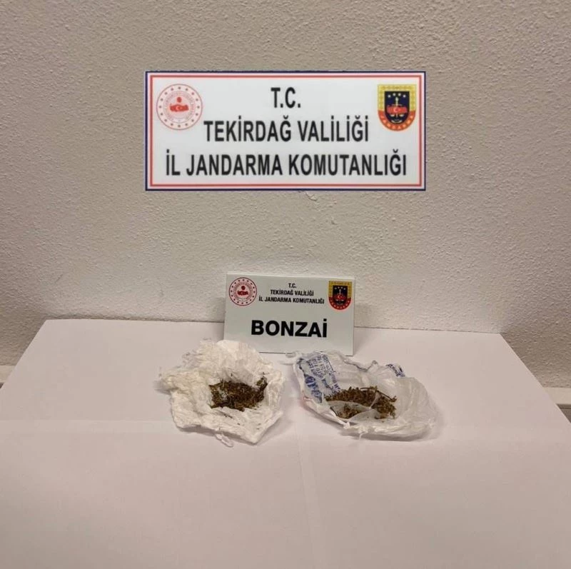 Jandarmadan uyuşturucu operasyonu: Bonzai ele geçirildi
