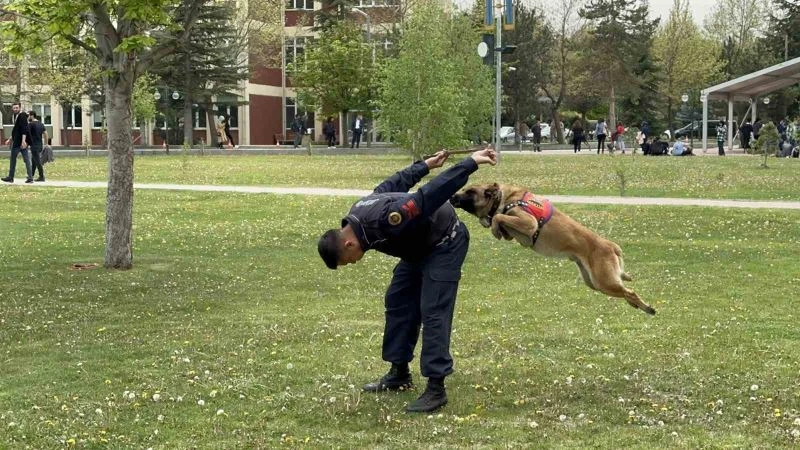  Jandarmanın sevimli kahramanları fuarda şovlarıyla ilgi çekti
