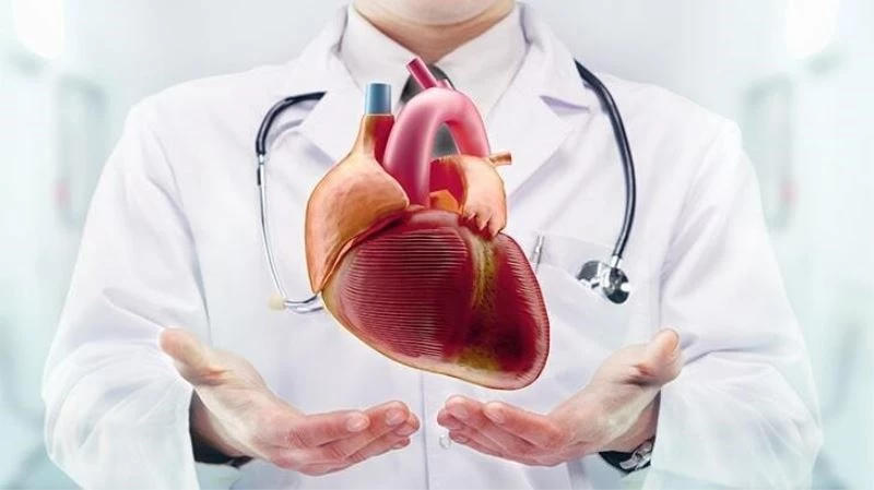 Kontrollü yaşamla kalp hastalıklarından korunun
