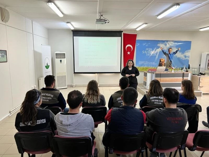 Osmangazi barınak personeline mesleki eğitim
