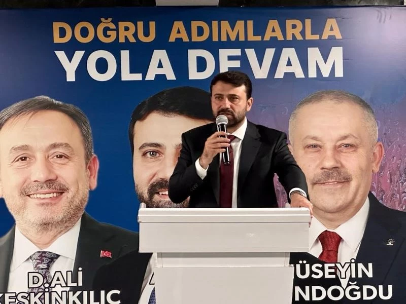 Şahin, 