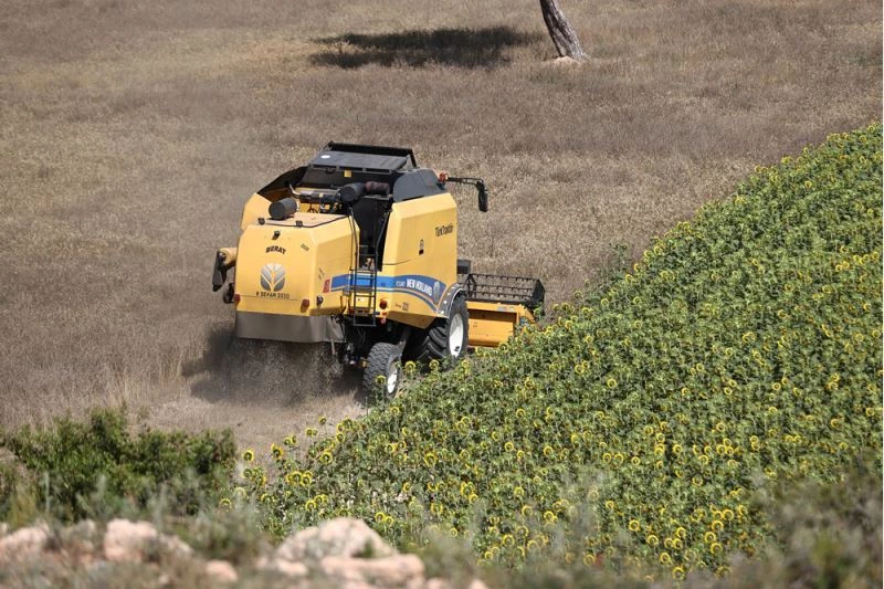 Tarımı toprakla iç içe öğrenen liselilerin el emeği buğdayları hasat edildi