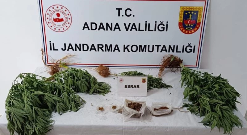 Adana