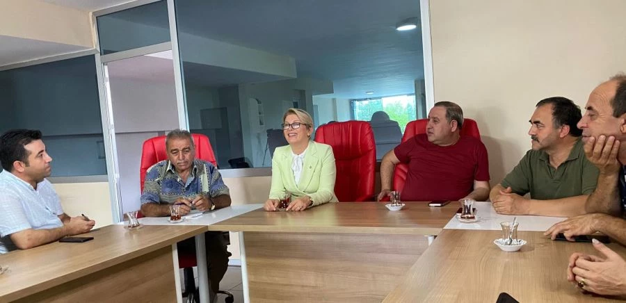 Milletvekili Asu Kaya