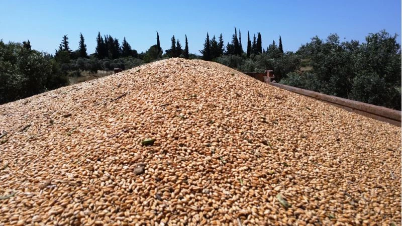 Antalya Orman Çiftliği ve Serik