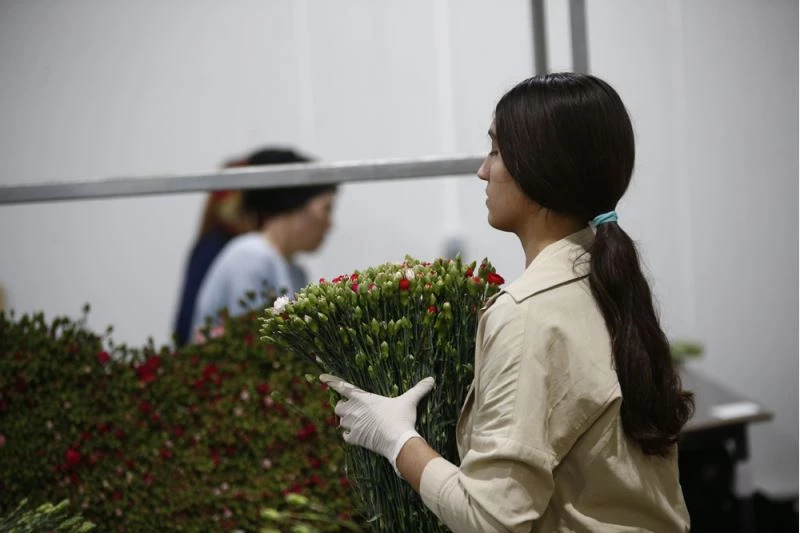 Çiçek sektörü bu yıl 170 milyon dolarlık ihracat hedefliyor