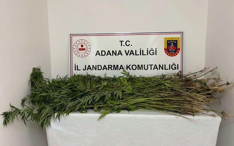 Adana