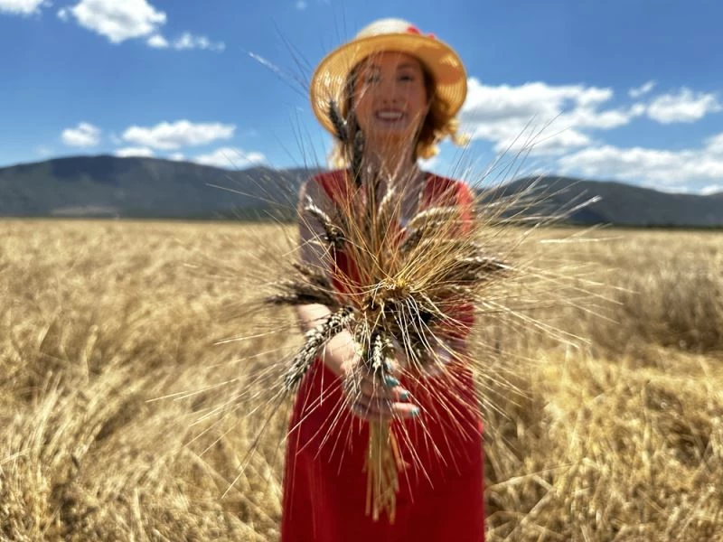 Doktor çift kanser hastalarına yönelik 