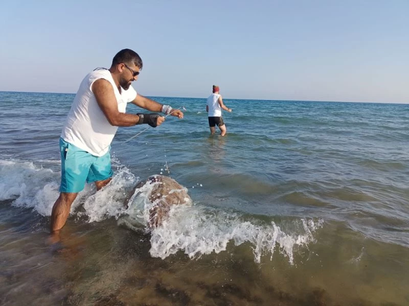 Uzmanlardan caretta carettaların korunması için balıkçılara hayalet ağ uyarısı