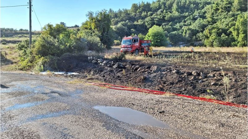 Otluk alanda çıkan yangın ormana sıçramadan söndürüldü