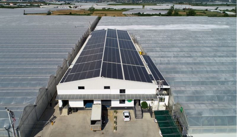 Kurduğu tesiste hem 45 çeşit tropik meyve hem de elektrik üretiyor