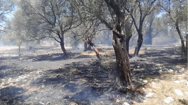 GÜNCELLEME - Antalya